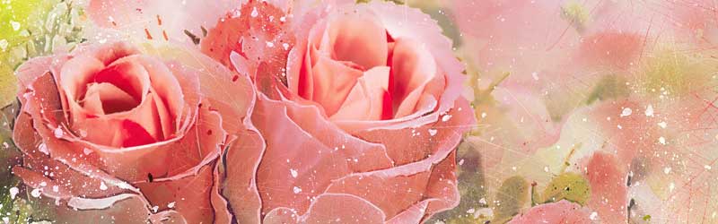 Zt~jKIŊȒPZbNXłonW0009